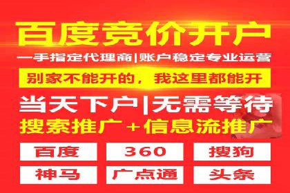 成功SEM代理案例：精准投放的策略