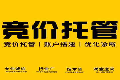 百度SEO优化公司成功案例分享：一家中小企业的网络推广之路